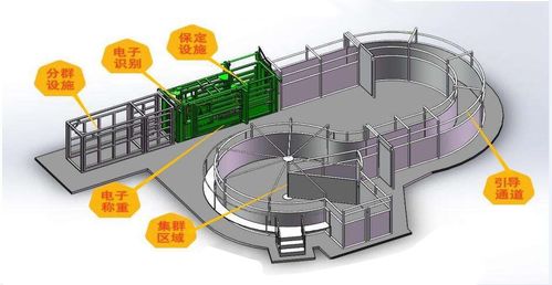 基于物聯網的畜禽智能養殖監控系統與智能水務系統開發