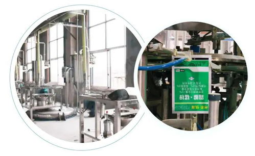 智能驅(qū)動，水務(wù)革新 重慶樹榮長壽區(qū)無人化新工廠正式投產(chǎn)