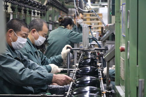 海外訂單激增，長虹電視與冰空洗產(chǎn)品同比大幅增長，網(wǎng)絡(luò)技術(shù)服務(wù)助力業(yè)務(wù)拓展